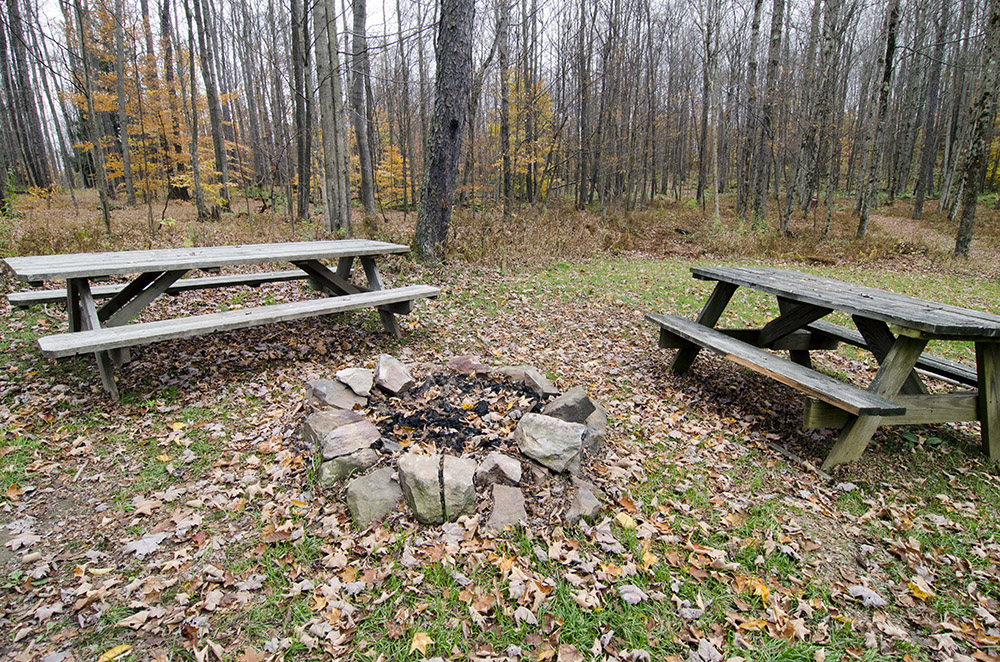 Cherry Springs State Park Lodging - Cherry Springs State Park